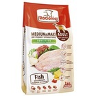 Racioniq Medium & Maxi Adult Fish Sensitive 1 кг./Сухой корм для взрослых собак средних и крупных пород с чувствительным пищеварением, вкуснейшее рыбное ассорти
