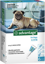 Advantage/Адвантейдж капли для собак от блох до 4кг 1пипетка(уп.4шт)