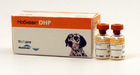 Нобивак DHP//вакцина для собак 1*1 мл