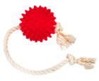 Зооник 16473/Игрушка для собак Мяч на веревке