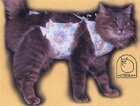 Попона послеоперационная для кошек (Бандаж)