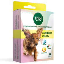 TRIOL/Мультивитаминное лакомство для собак "Активная жизнь", 33г,